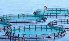 SEA FARMING SECURITY SOLUTIONS