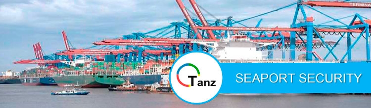 Seguridad en puertos